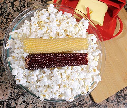 Amish Country Popcorn Amish Country Popcorn | Old Fashioned Microwave Popcorn | Non-GMO, Gluten Free, Microwaveable and Kosher (White & Red Corn on the Cob, 2 Pack)