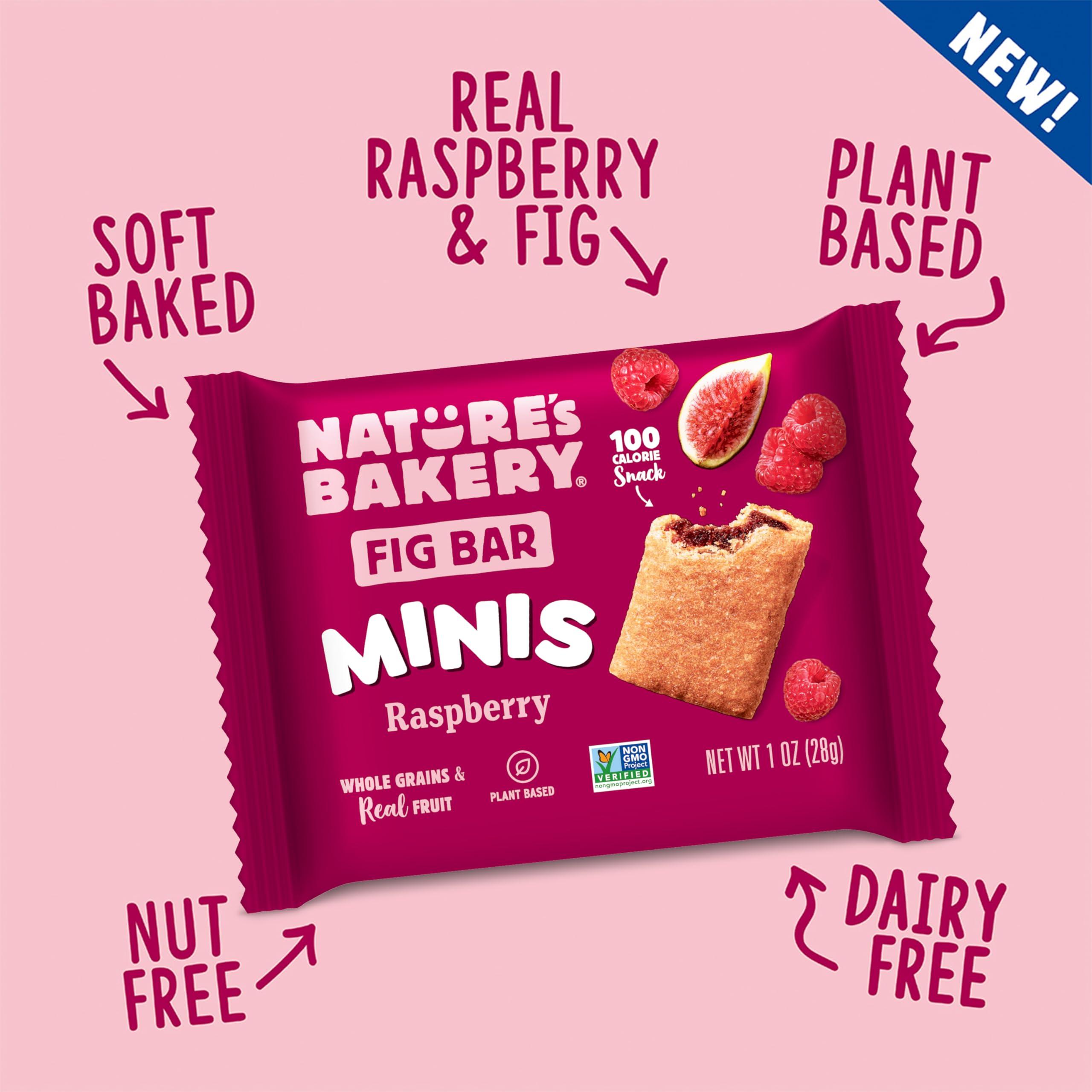 Nature\'s Bakery Nature\'s Bakery Fig Bar Minis, Raspberry, Whole Grain, Vegan Friendly, Kosher, Non-GMO, 10 Ounce (Pack of 6)