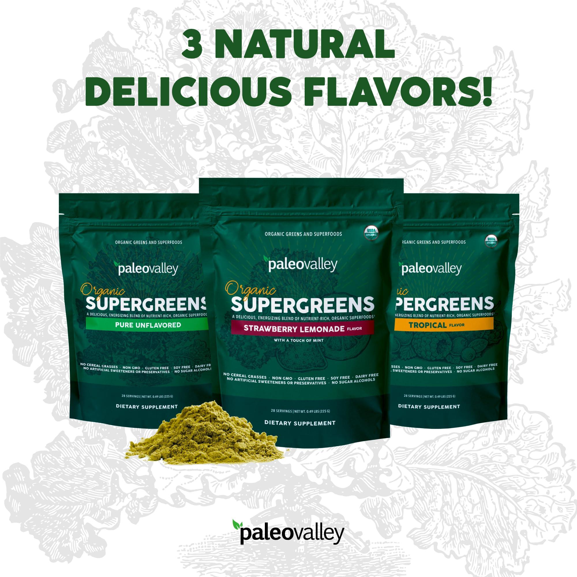 Paleovalley Paleovalley Organic Supergreens Powder - 23 Superfoods with Prebiotic Fiber for Energy and Immunity Support - No Cereal Grasses for Maximum Absorption - Pure Unflavored, 30 Servings