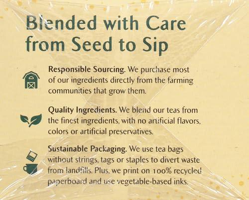 Celestial Seasonings Celestial Seasonings Immune Support Green Tea 20 Tea Bags