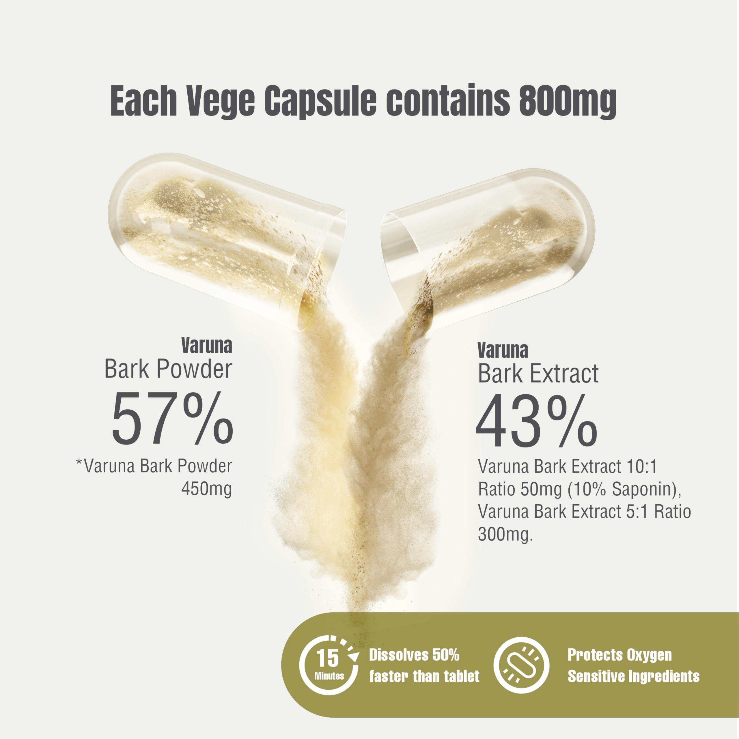 Herbsforever Herbsforever Varuna Nurvala Extract Capsules - Vegan & Gluten Free | Plant Based Supplement for Bladder & Kidney Function, 800 mg per Capsules (60 Nos)