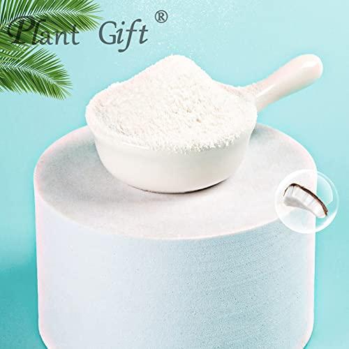 Plant Gift Plant Gift 100% Pure Coconut Powder Natural Powder, Great Flavor for Drinks, Smoothie, Yogurt, Baking, cookies, cakes and Beverages, Non-GMO Powder, No Filler, No additives 100G/3.25oz