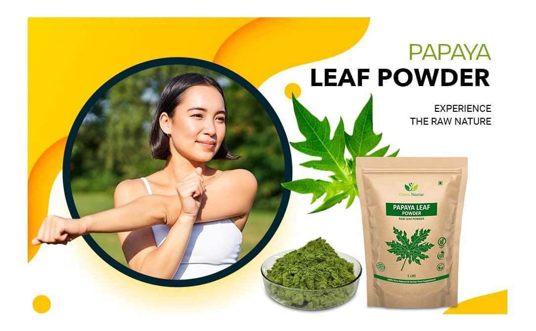 Rainbow Expochem Company Papaya Leaves Powder 454g (1lb / 16 oz) | Carica Papaya | Papaya Leaf Powder Benefits Hair and Skin| Non GMO (1 Pound(16 Oz)) - Green Nectar