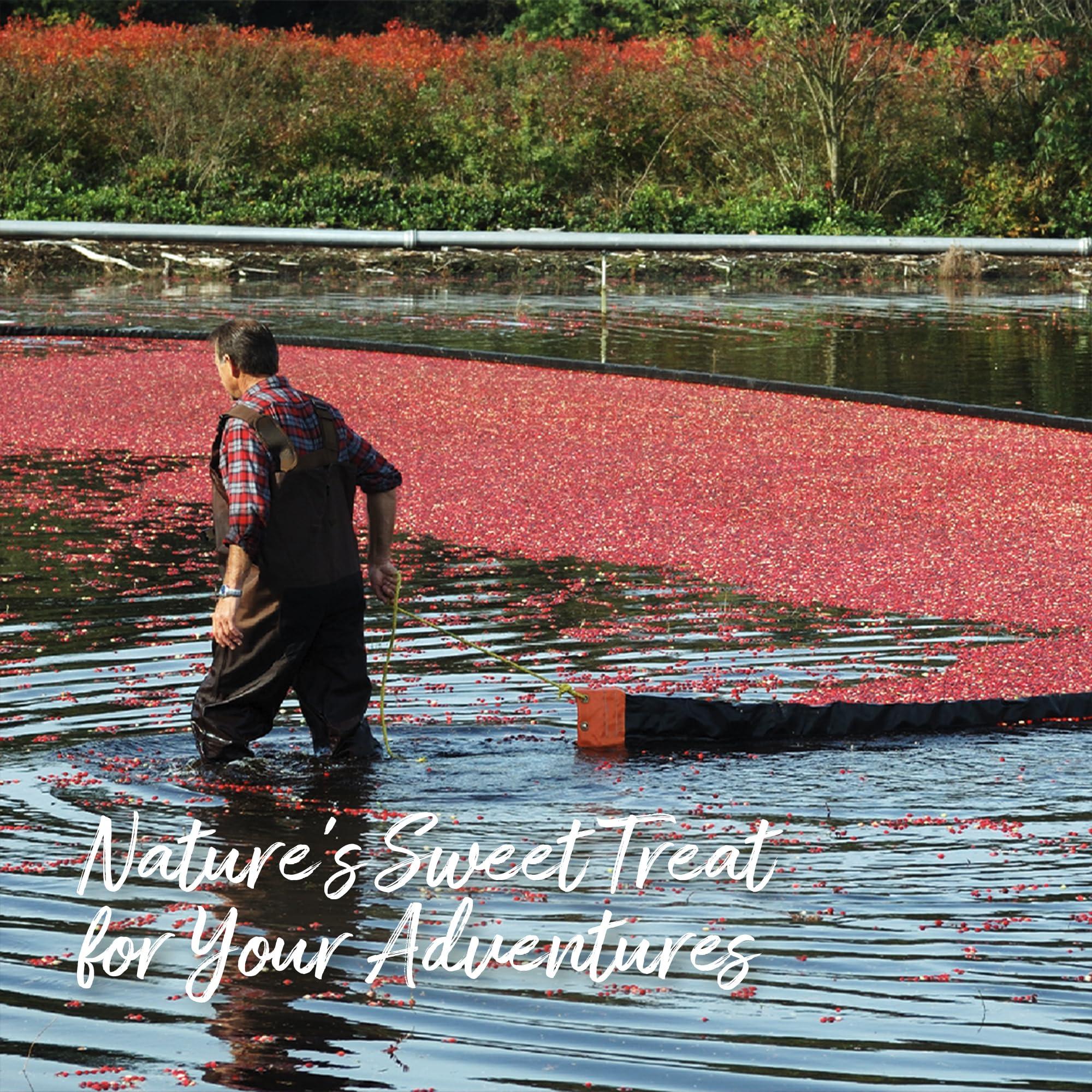 Organic by Mariani Mariani Organic Dried Cranberries, 30 oz