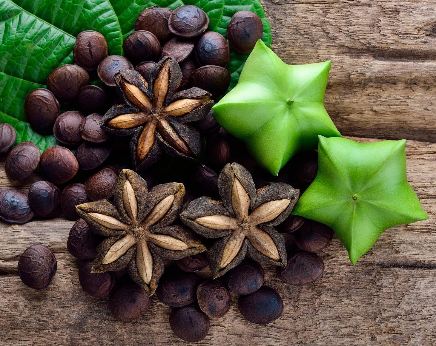 Food to Live Organic Sacha Inchi Powder, 1 Pound - Non-GMO, Kosher Inca Nut Powder, Raw Vegan Protein Powder, Rich in Omega-3, Bulk