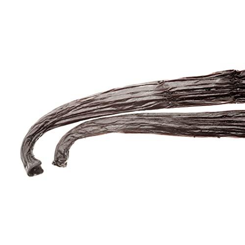 Vanilla Bean Kings 1 LB Mexican Vanilla Beans Whole Grade A Gourmet Vanilla Pods for Homemade Vanilla Extract and Baking from Veracruz, Mexico - 16 Ounces