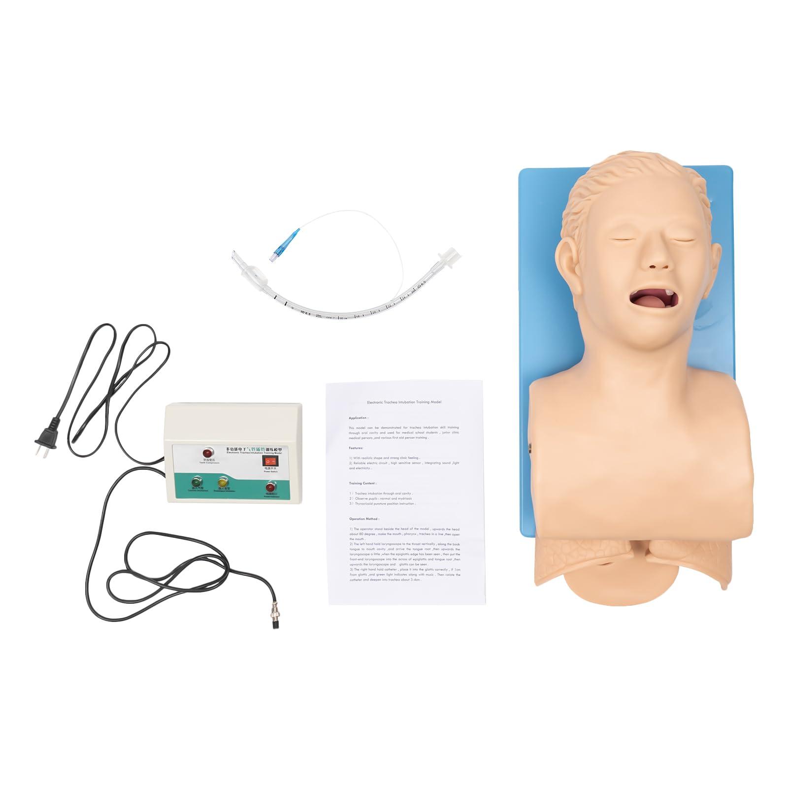 CNCEST CNCEST Adult Intubation Manikin Teaching Model,Airway Management Trainer Tracheal Intubation Training Simulator Model