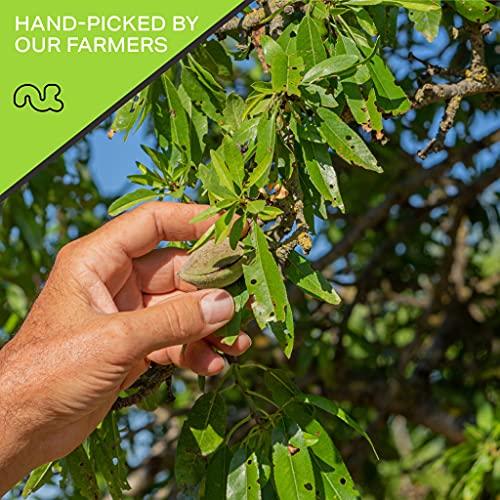 Nut Cravings NUT CRAVINGS - Roasted & Salted Mixed Nuts - Brazils, Brazil, Pecan, Almond, Hazelnut, Cashew (16oz - 1 LB) Packed Fresh in Resealable Bag - Healthy Protein Food, Natural, Keto Friendly, Vegan, Kosher