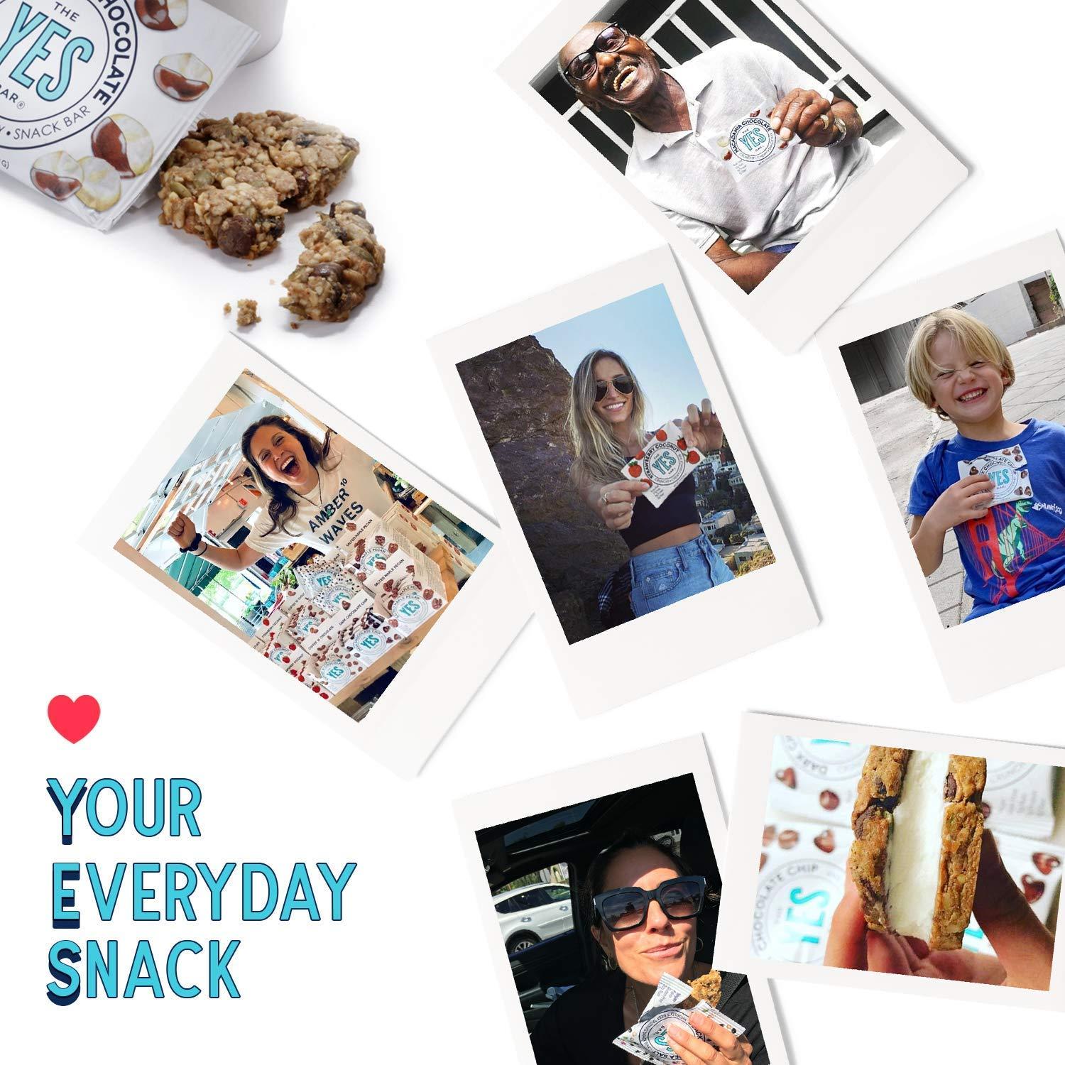 The YES Bar The YES Bar Dark Chocolate Chip Plant Based Protein, Decadent Snack Bar Vegan, Paleo, Gluten Free, Dairy Free, Low Sugar, Healthy Snack, Breakfast, Low Carb, Keto Friendly (24 Count)