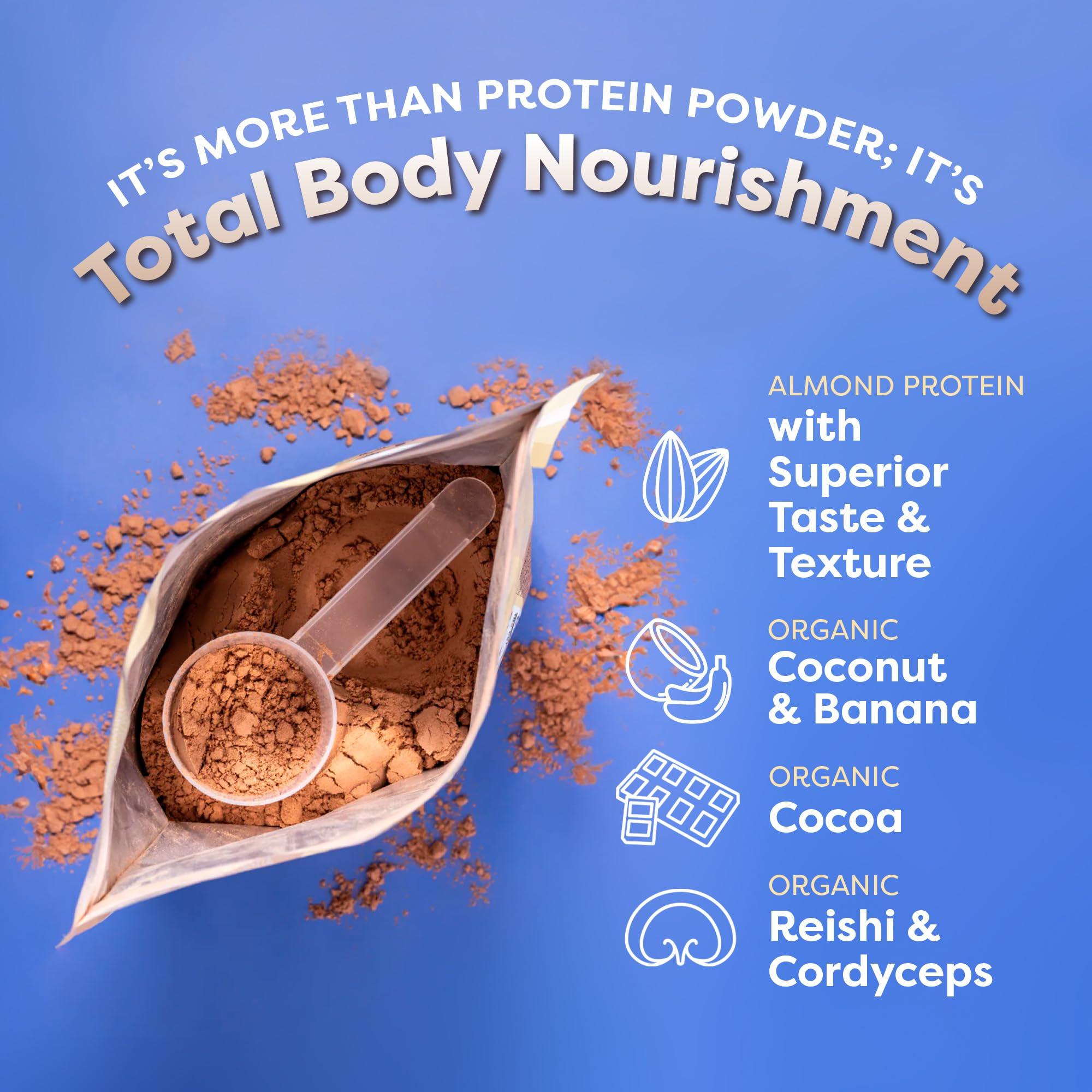 FlavCity FlavCity All-In-One Vegan Protein Powder Smoothie, Chocolate Peanut Butter - Plant-Based Pre-Workout Meal Replacement Shake for Women & Men Made with 20g of Almond Protein - Gluten Free & Dairy-Free