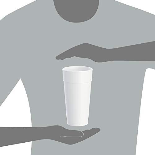 DART DART 24J16 Drink Foam Cups, Hot/Cold, 24oz, White, 25 Per Bag (Case of 20 Bags) (DCC24J16)