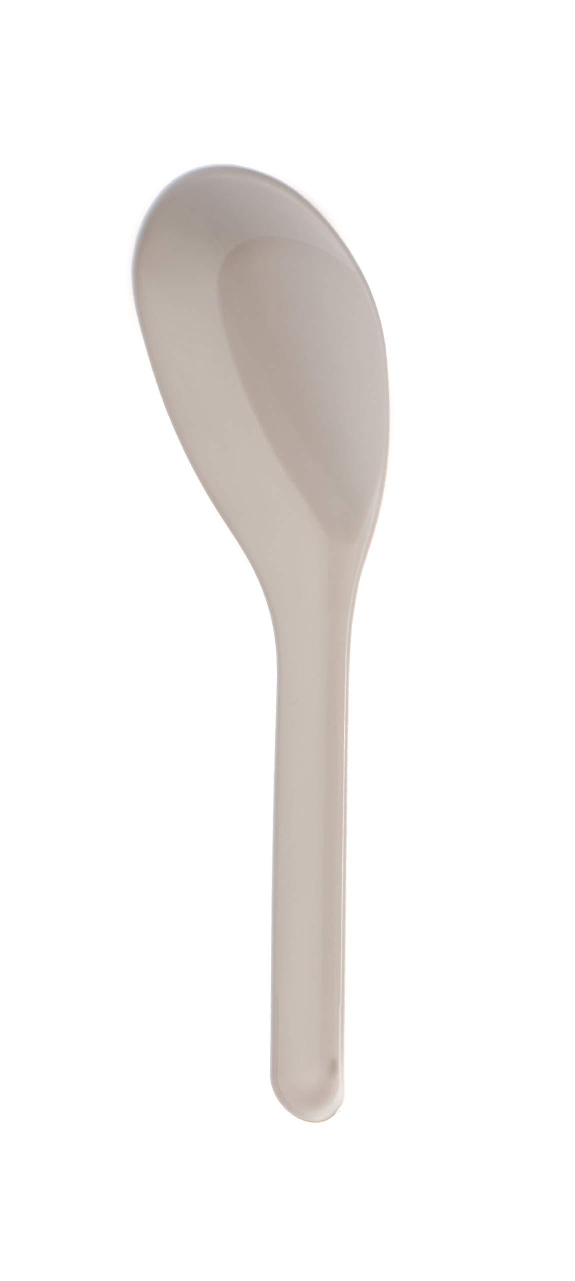 EcoQuality [3000 PACK] Disposable Dining Asian Soup Spoons - White Plastic Chinese Soup Spoons for Ramen, Pho, Clear, Appetizer, 4.5 x 1.2 Inches by EcoQuality