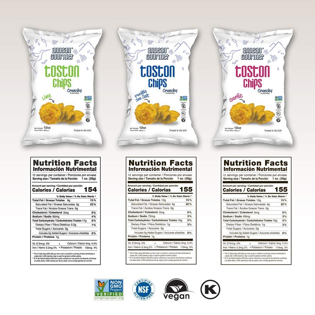 Andean Gourmet ANDEAN GOURMET Toston Chips 10oz (Pack of 3) Variety (Pacific Sea Salt, Garlic and Lime) - Gluten Free, All Natural, NON-GMO and Kosher - Plantain Dipping Chip