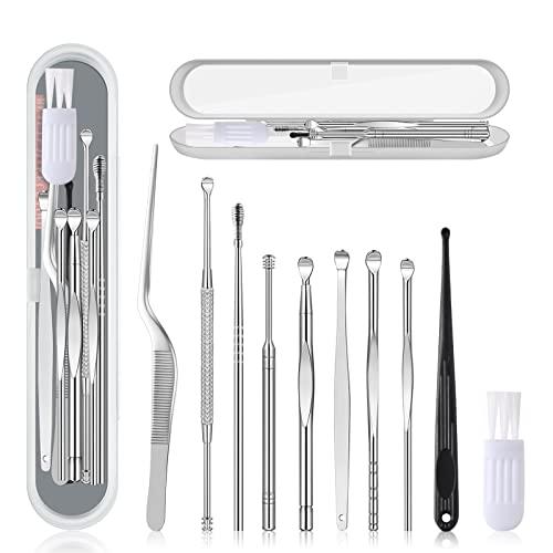 Ear Pick -01 Ear Pick Ear Wax Removal Kit, Ear Cleansing Set, Earwax Remover Tool, Ear Curette Ear Wax Remover Tools with a Cleaning Brush and Storage Box, Medical Grade, for Ear Adult and Kid, Silver, 10 Pcs