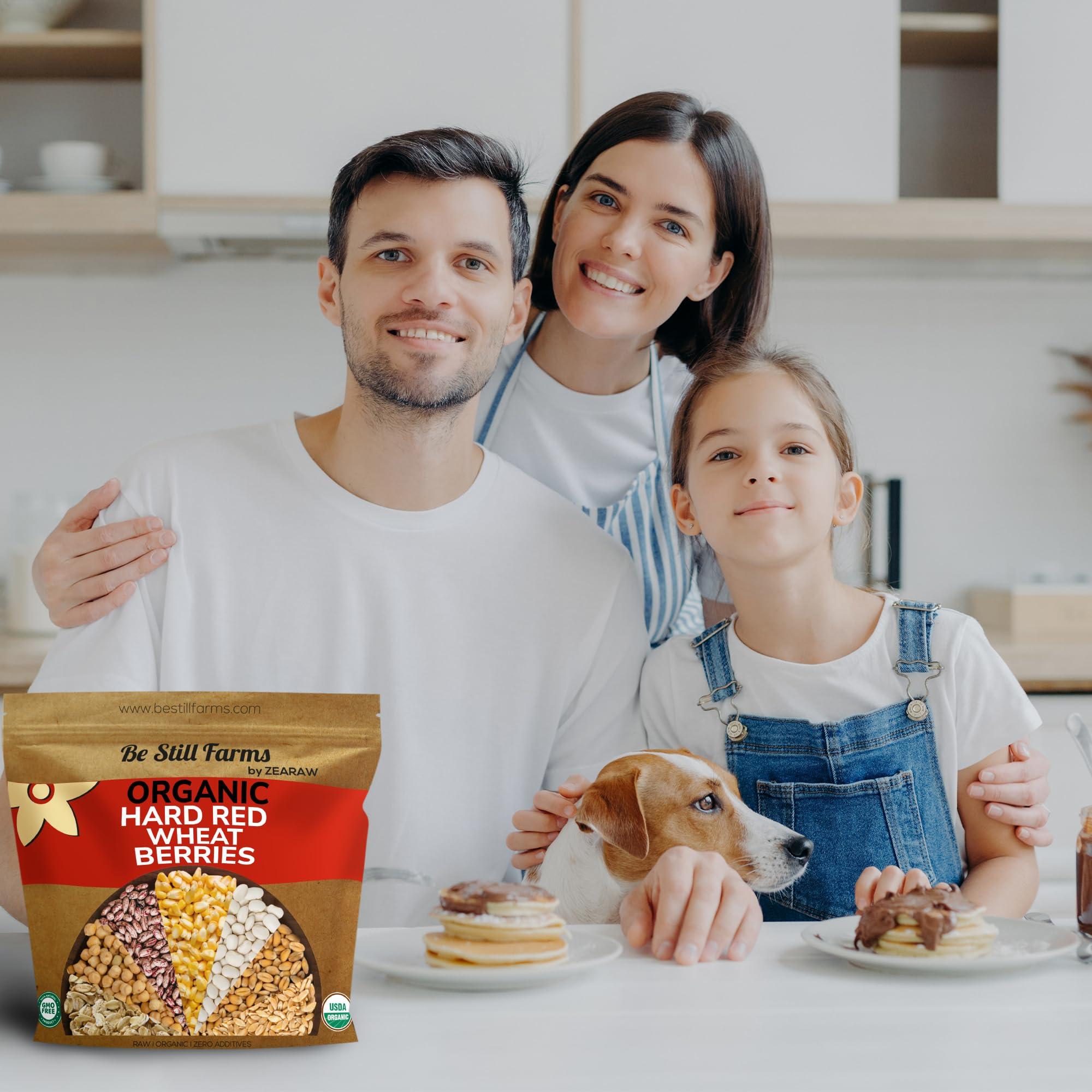 Be Still Farms Be Still Farms Organic Hard Red Wheat Berries (4.8lb) - Healthy Diet Whole Grains Bulk - Ideal for Soups, Salads, Flour, Bread - High in Fiber & Protein | USA Grown | USDA Certified | Vegan | Non-GMO