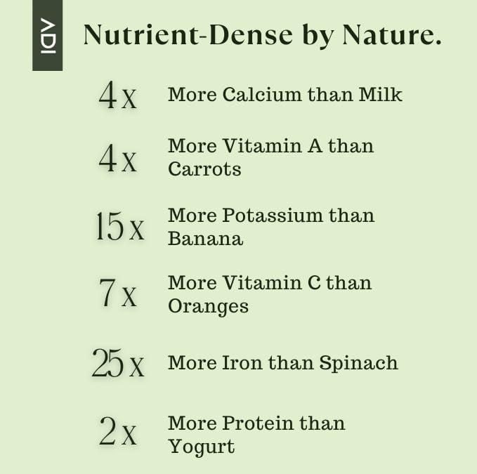 ADI ADI Organic Moringa Powder 8oz, Pure Moringa Superfood for Immune Support, Moringa Tea, Made from Organic Moringa Leaves, USDA Certified