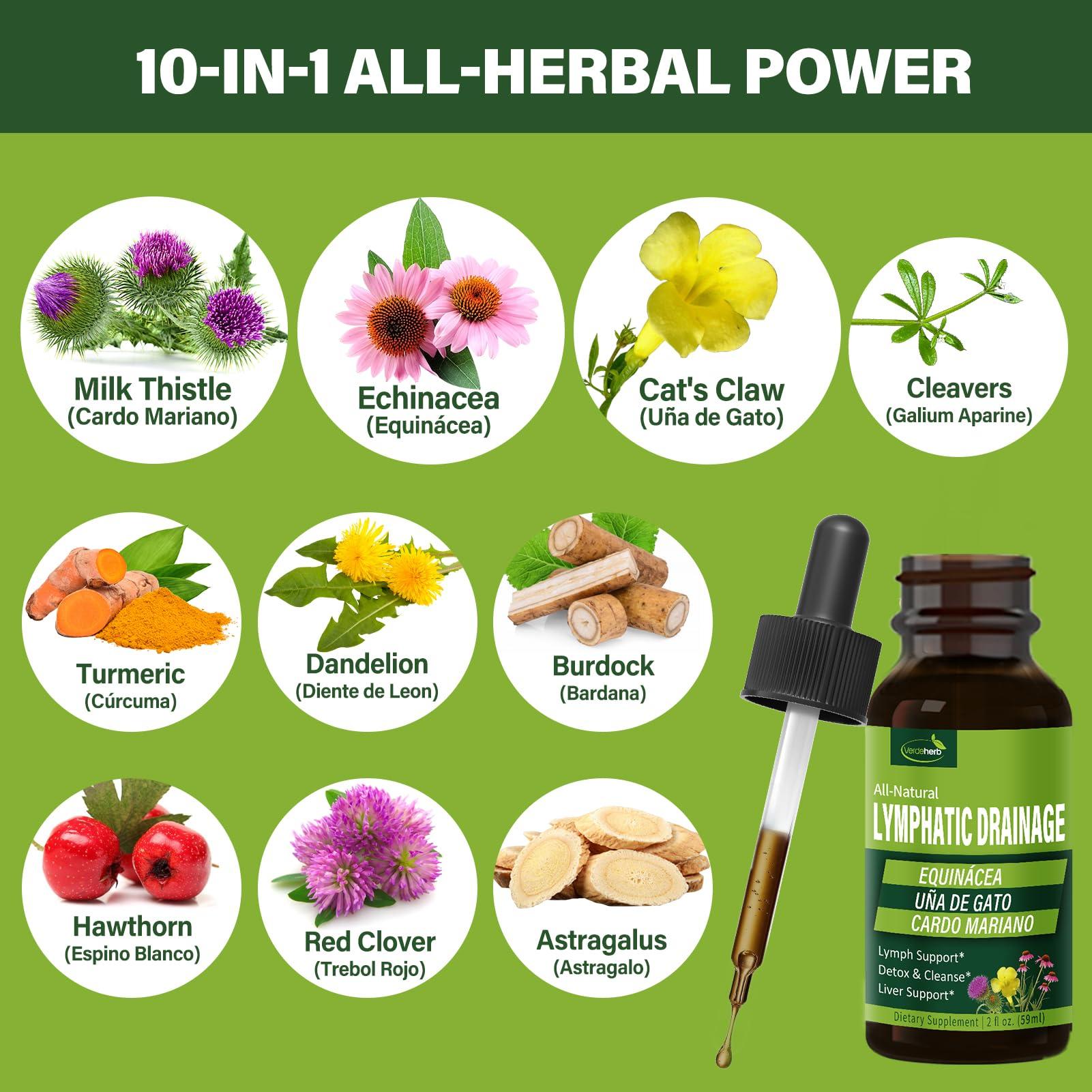 Verdeherb Verdeherb Echinacea Lymphatic Drainage Drops Enhance Lymph System Detox Cleanse, Cleavers, Milk Thistle, Cats Claw, Turmeric, Dandelion, Burdock, Astragalus Immune Support Supplement. 4oz