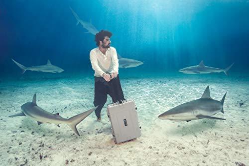 B&W International GmbH B&W Outdoor Case Hard Case Type 6600 Empty (Hard Case IP67, No Contents, Waterproof, Inner Dimensions 50 x 28.5 x 18.5 cm, Black)