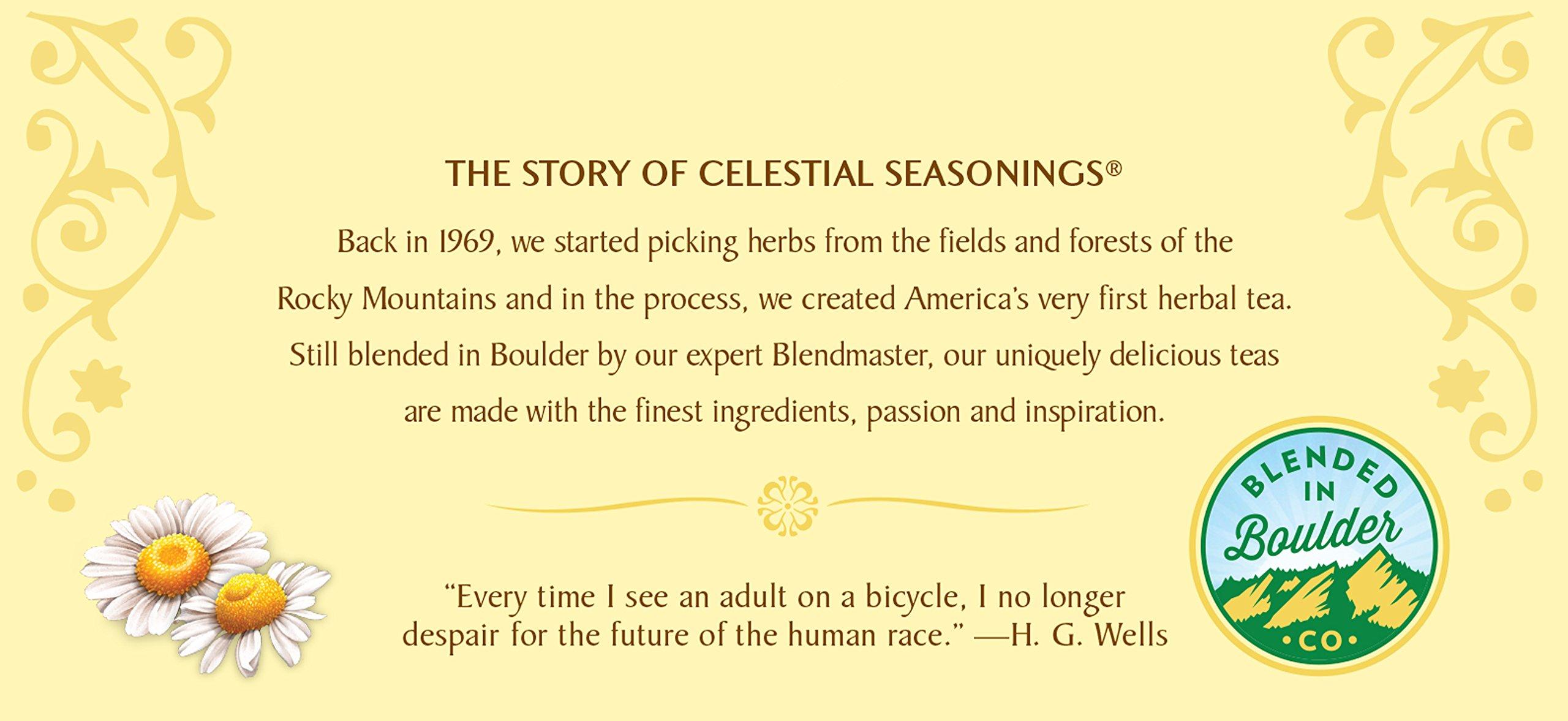 Celestial Seasonings Celestial Seasonings Chamomile Herbal Tea, 20 Count