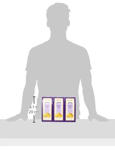 Garvey's Garvey's Organic Traditional Scone Mix, 9 Ounce (Pack of 6)