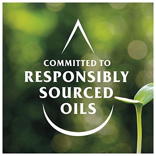 Best Foods Best Foods Mayonnaise 12 count Real 8 oz