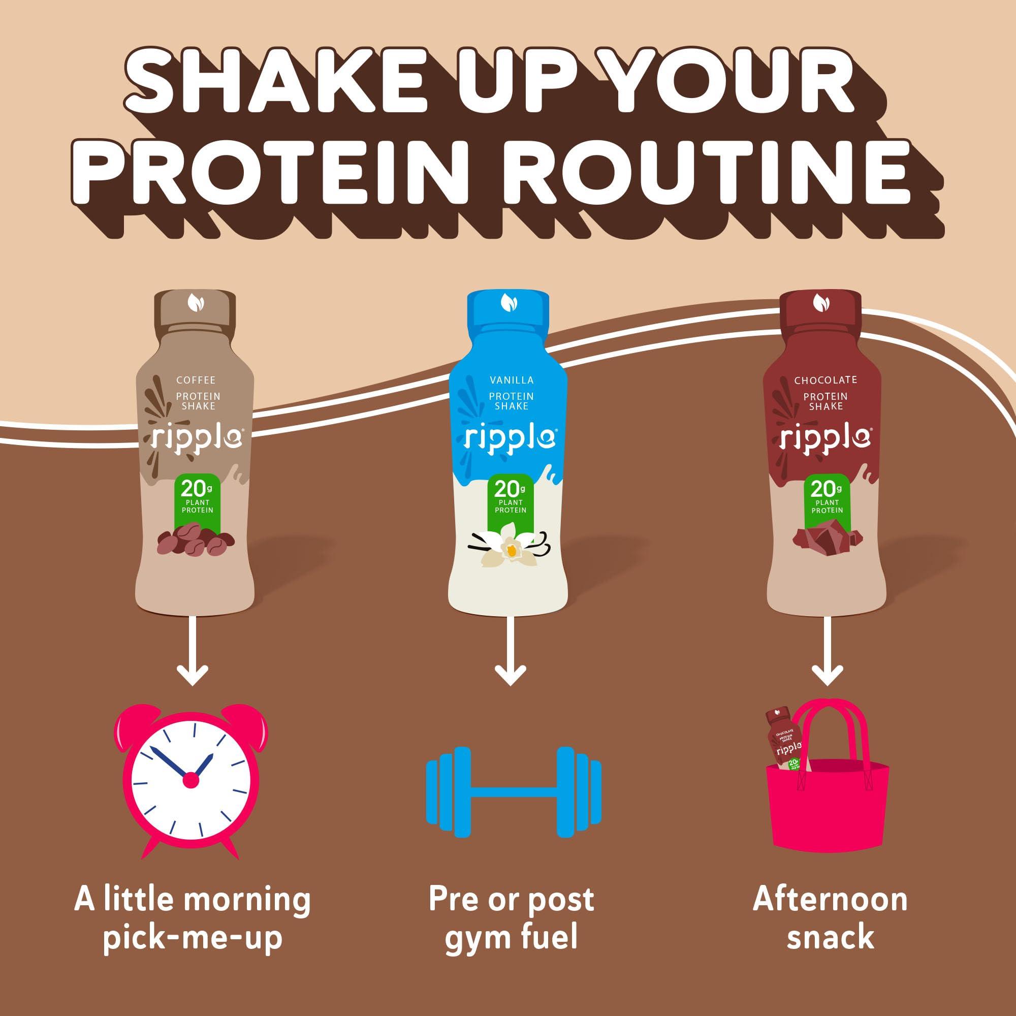 Ripple Ripple Vegan Protein Shake, Chocolate 12 Fl Oz (12 Pack) & Vanilla (12 Pack) & Coffee (12 Pack) | 36 Pack