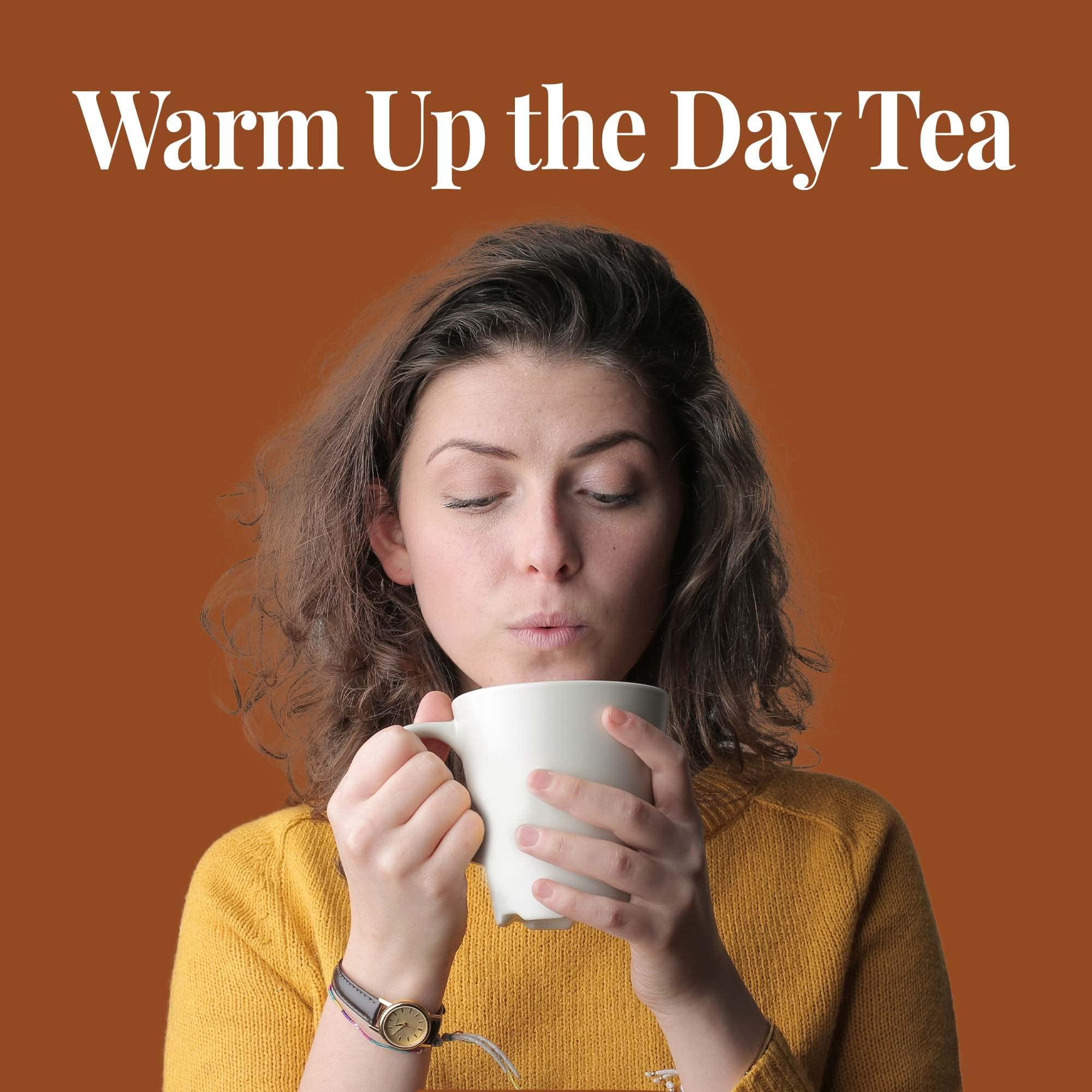 The Republic of Tea The Republic of Tea - Pumpkin Spice Black Tea, 50 Tea Bags