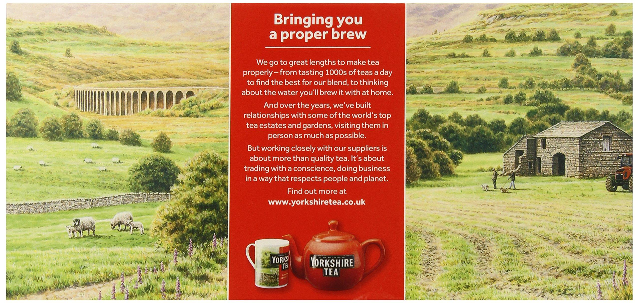 Yorkshire Tea Taylors of Harrogate Yorkshire Gold (160 Teabags) and Yorkshire Red (240 Teabags) Tea Bags