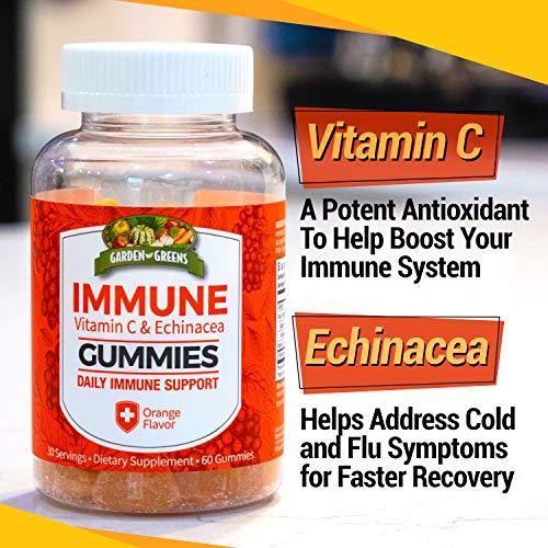 Garden Greens Garden Greens Immune Gummies with Vitamin C and Echinacea, Daily Immune Support, Orange Flavor, 60 Gummies, 30 Servings