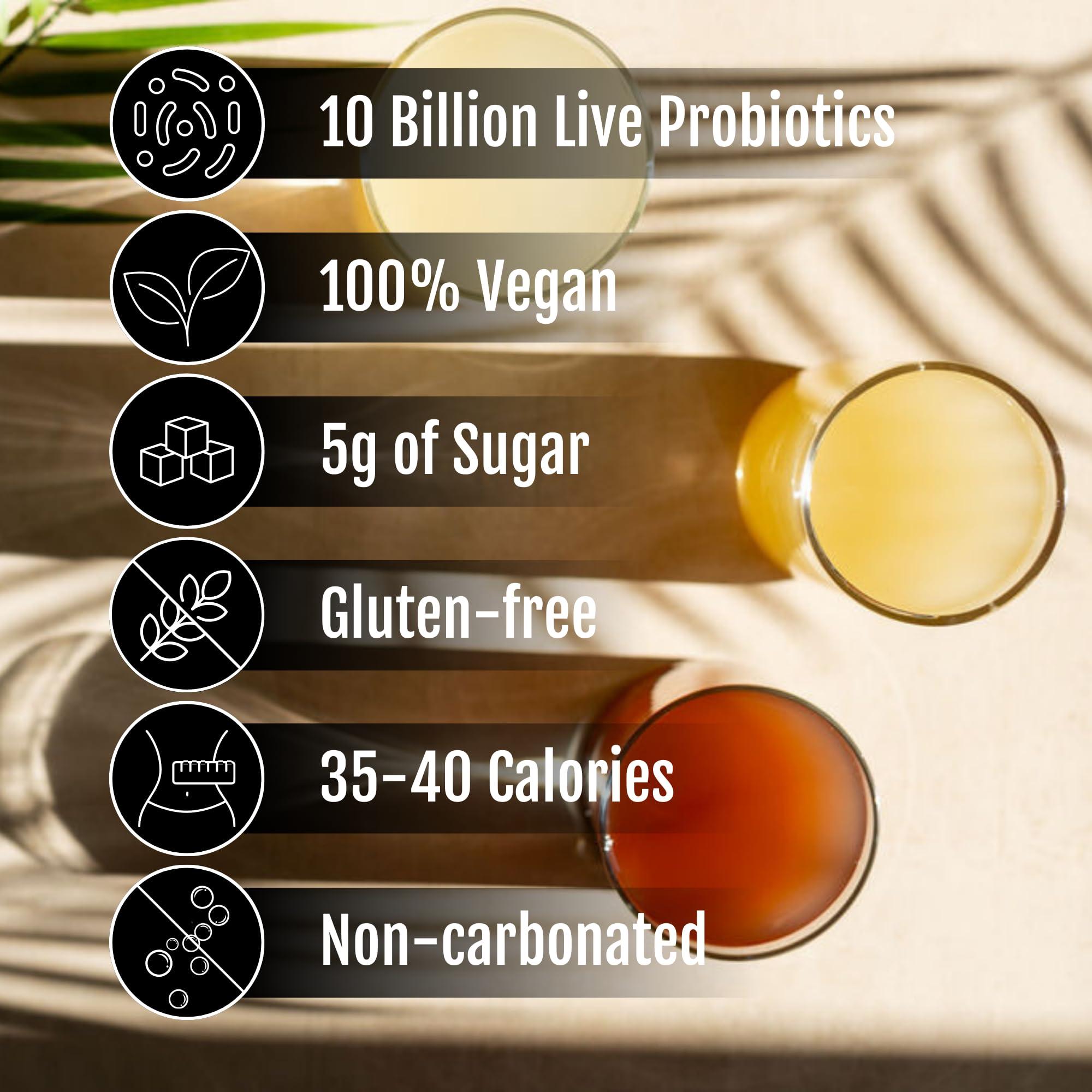 Cabana Cultures Cabana Cultures - Probiotic Coconut Water Kefir, Gut Health & Immunity Support, Hydration & Electrolytes, Vegan, Low Sugar (Lemon-Ginger, 12-Pack)