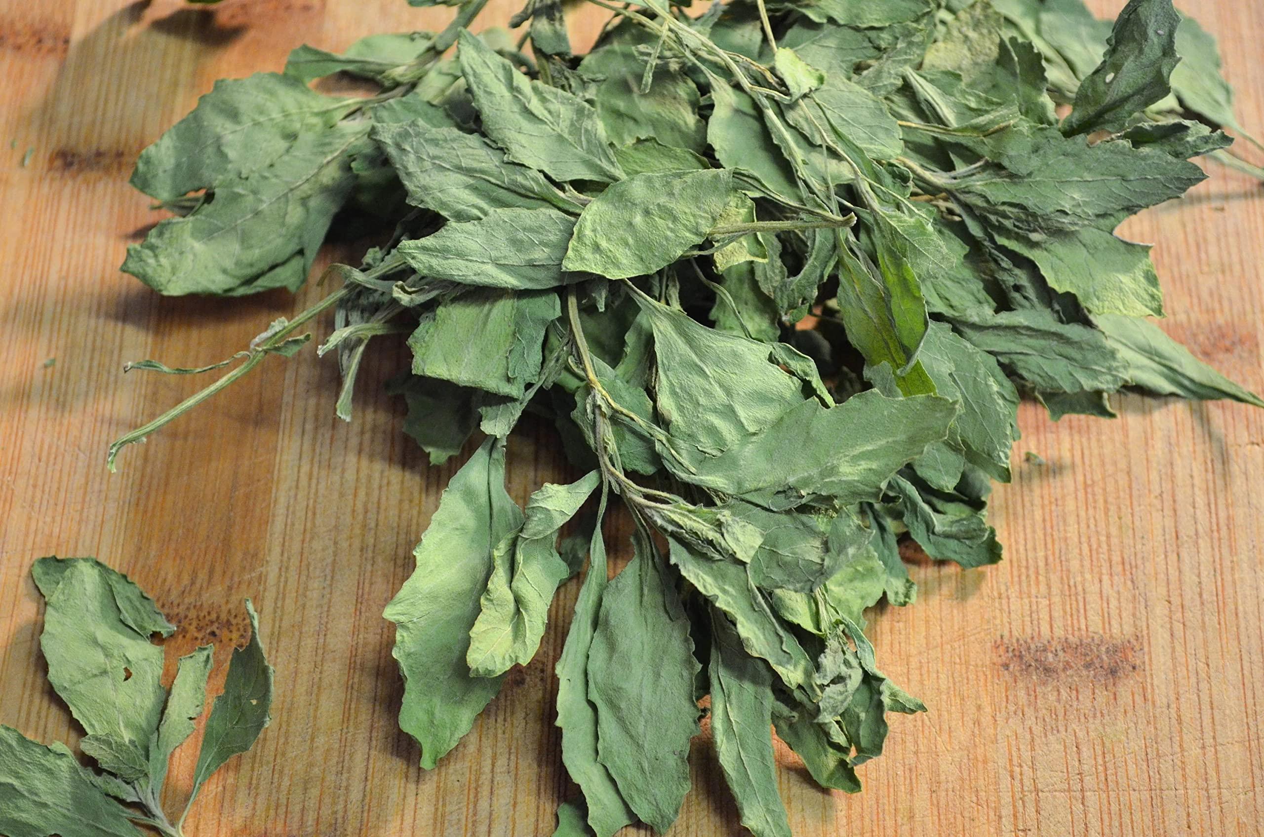 Morel Distribution Company Dried Epazote Leaves and stems, Hojas de Epazote con ramas, Natural Mexican Herbs 2 oz and 4 oz (4)