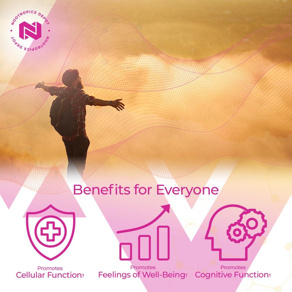 Nootropics Depot Nootropics Depot Berberine HCL + Silymarin Tablets | 500mg + 90mg | 180 Count | Supports Cellular Function, Metabolic Function, and Balanced Inflammation Levels