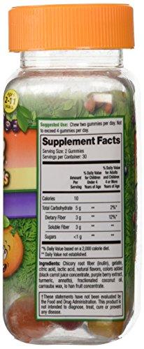 Fiber Advance Fiber Advance Gummies For Kids Daily Fiber Supplement, 60 count