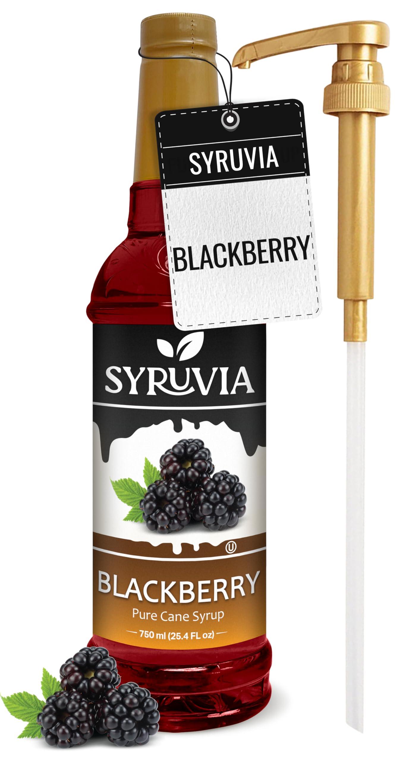 SYRUVIA Syruvia Blackberry Syrup Blackberry Syrup Flavor, 25.4 fl oz - Perfect for Cocktails, ice Tea, Desserts, Italian Sodas, Ice and More, Kosher and Gluten-Free With Syrup Pump