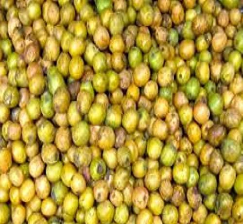 Snow Hill Authentic Nepali Lapsi Ko Achar (Hog Plum) Whole Seeds Pulp Gravy - Natural Typical Nepali Flavor Lapsi Pickle Little Sweet, Sour and Spicy Mix Pickles - 500G By QT Shopping (200grm)