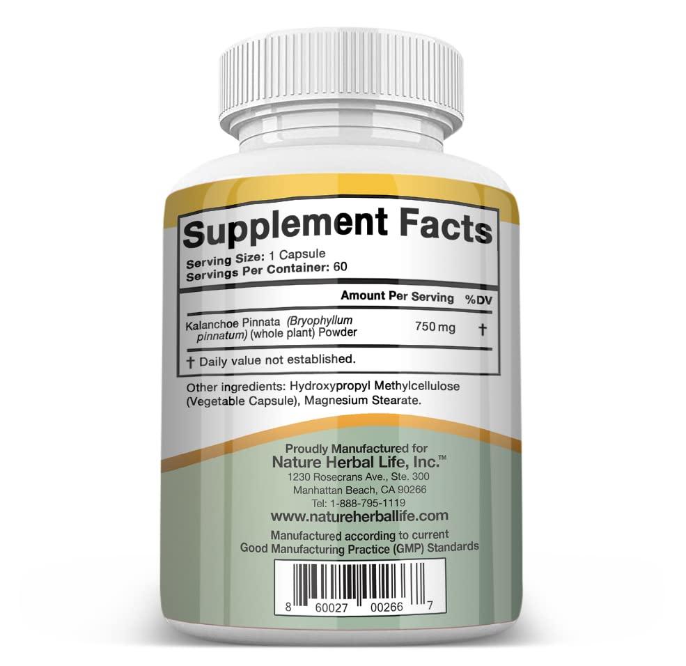 Nature Herbal Life Nature Herbal Life Kalanchoe Pinnata-Leaf of Life (Bryophyllum Pinnatum)Lao Di Sheng Gen, Capsules. 1 Bottle-750mg, 60 Count (Pack of 1)