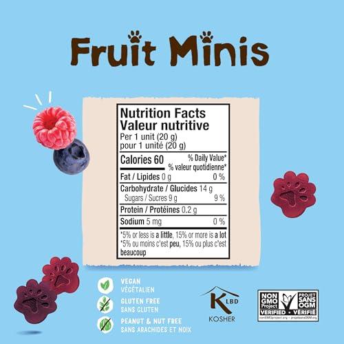 BEAR BEAR Real Fruit Snack Minis, Raspberry/Blueberry, No added Sugar, All Natural, Bite Sized Snacks for Kids, Non GMO, Gluten Free, Vegan, 0.7 Oz (Pack of 18)