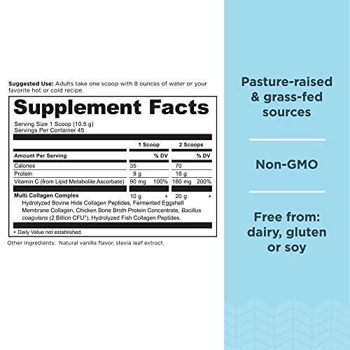 Ancient Nutrition Ancient Nutrition Multi Collagen Protein Powder, Unflavored, 60 Servings + Multi Collagen Protein Powder, Vanilla, 45 Servings