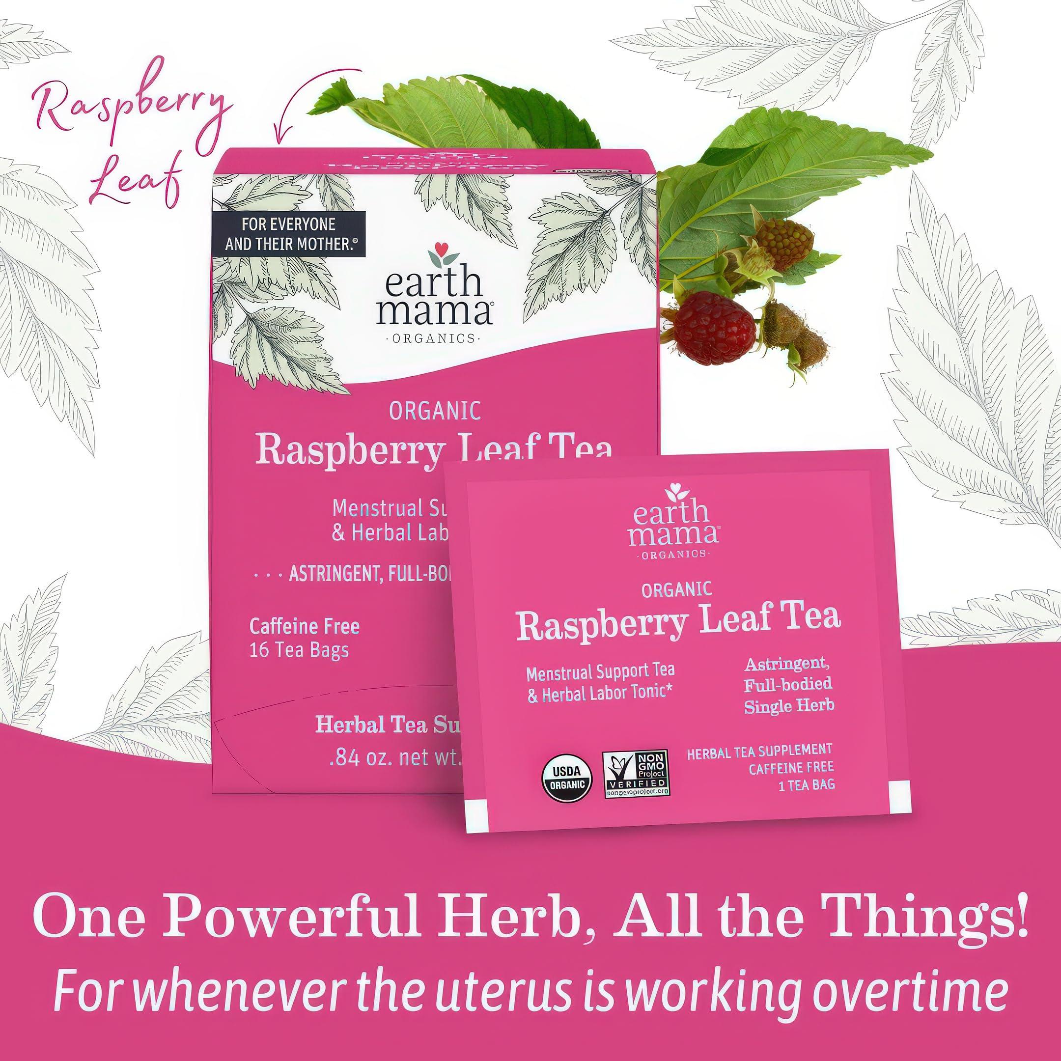 Earth Mama Earth Mama Organic Raspberry Leaf Tea Bags | Labor Tonic & Menstrual Support Herbal Tea, Red Raspberry Leaf Tea for Pregnancy & Postpartum Care Recovery, Caffeine Free Tea, Non GMO, (16 Teabags)