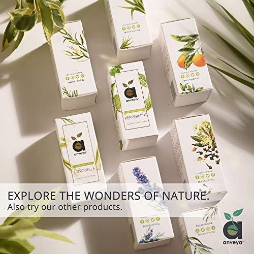 anveya Anveya Moroccan Argan Oil, Cold Pressed & Certified Organic, 100ml (for Hair, Skin & Anti-Ageing Face Care)