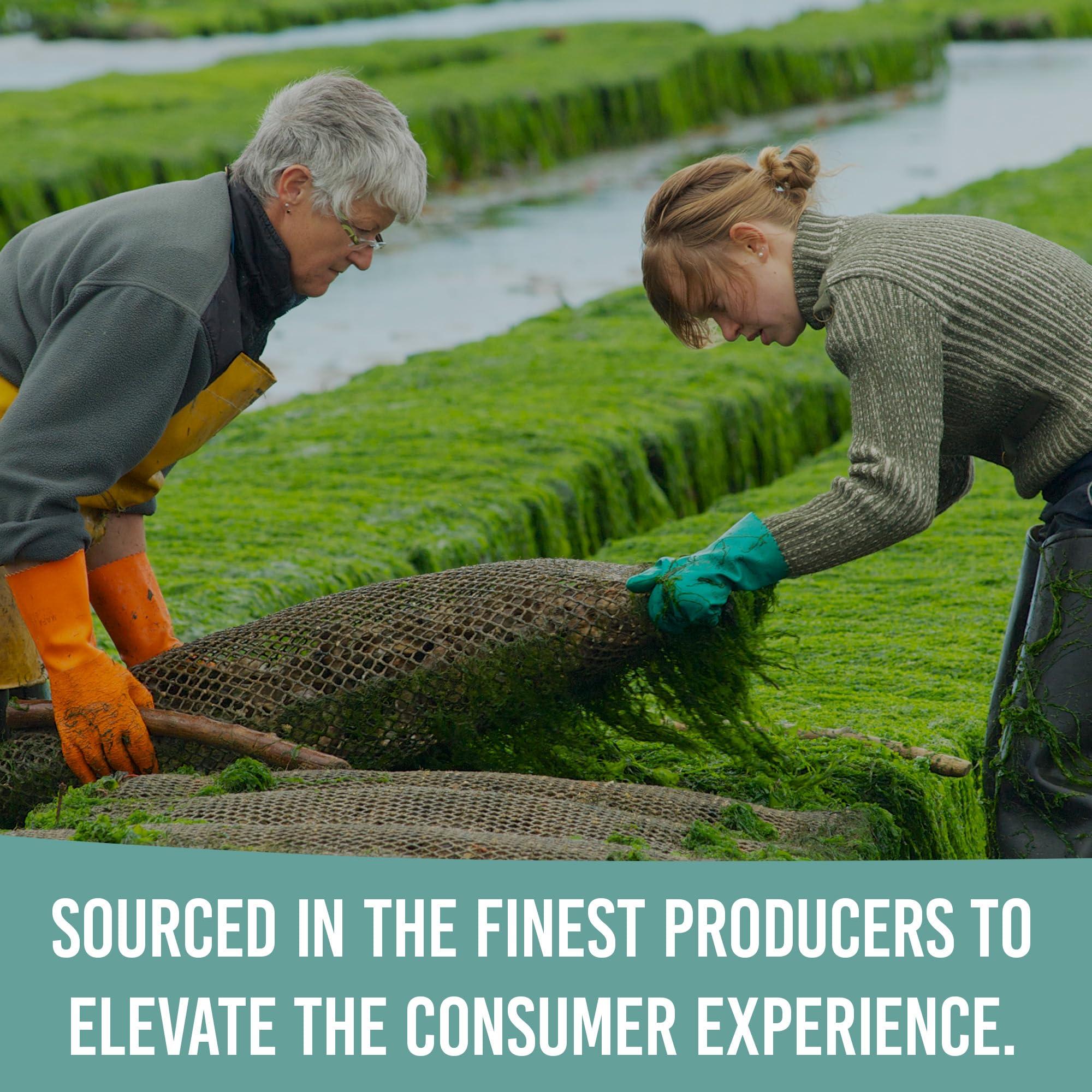 Holistic Bin HOLISTIC BIN Blue Spirulina Powder - Organic Blue-Green Algae Supplement, Rich Source of Vegan Protein, Vitamins, & Phytonutrients, Ideal for Smoothies, Baked Goods, & Natural Food Coloring - 50 Grams