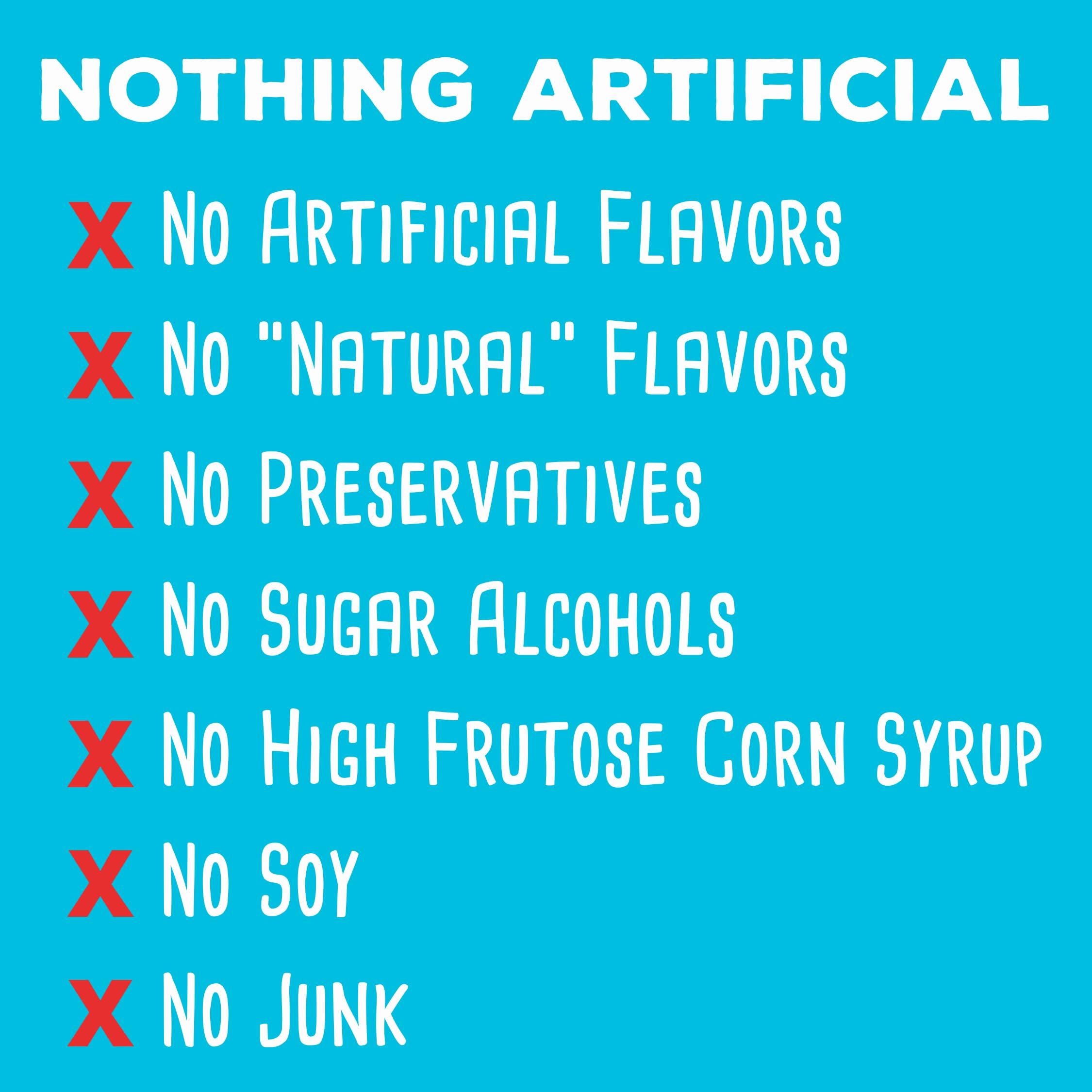 simplyFUEL simplyFUEL Whole Food Protein Balls with Probiotics - Chocolate Almond Coconut Snacks - 8g Protein Snack - Gluten Free Energy Balls (1 Pack of 12 Balls)