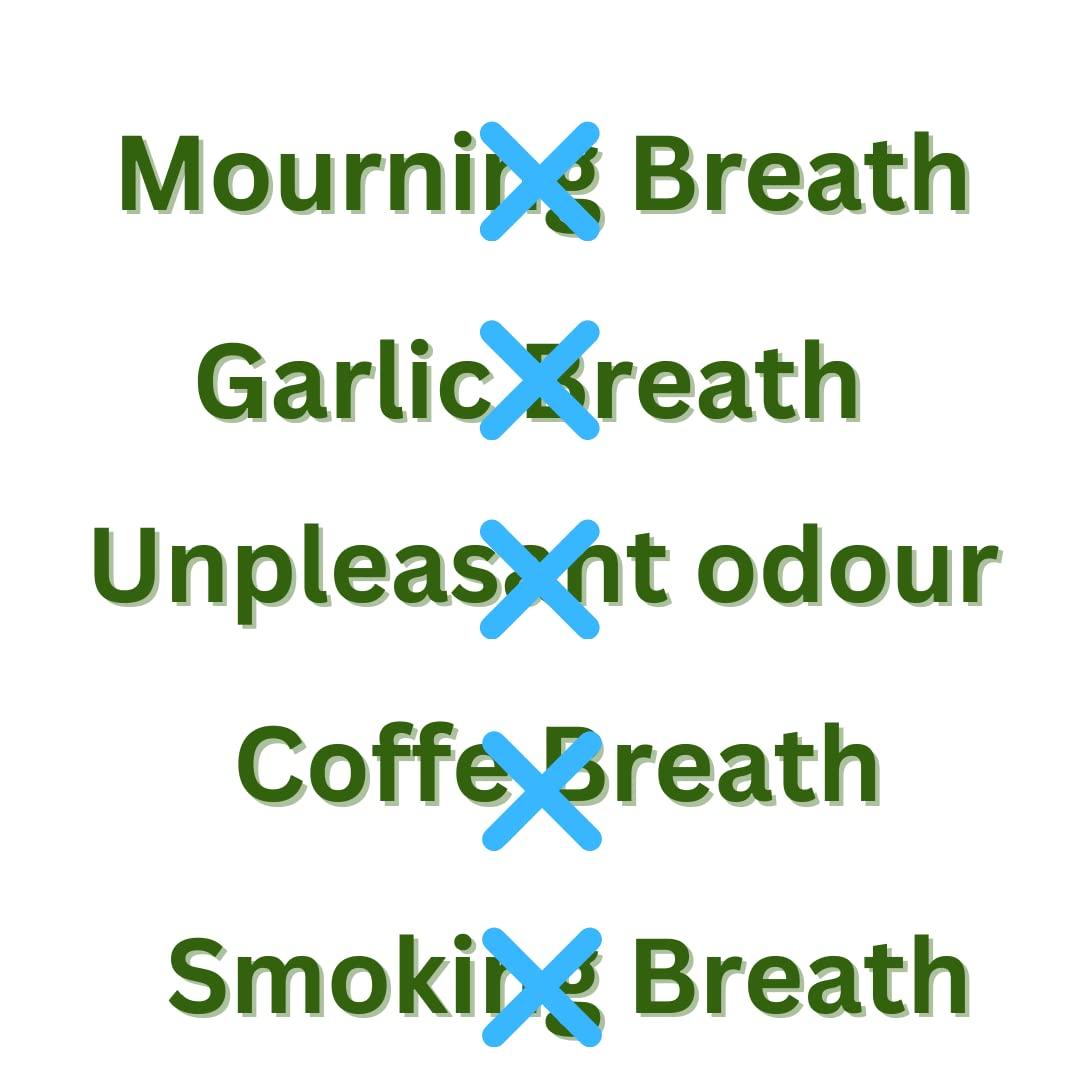 Its Health Tea Freshen Your Breath Naturally with So Fresh, So Clean Herbal Tea - Helps Fight Off Bad Breath Through Oral and Gut Health (35 TEA BAGS INCLUDED)