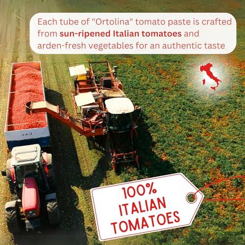Rodolfi Tomato Paste Tube \"Ortolina\" Rodolfi Sauce, 130 gr (4.5 Oz) - Pack of 2, Authentic Italian Product with Fresh Tomatoes and Vegetables, Imported from Italy, Additive-free