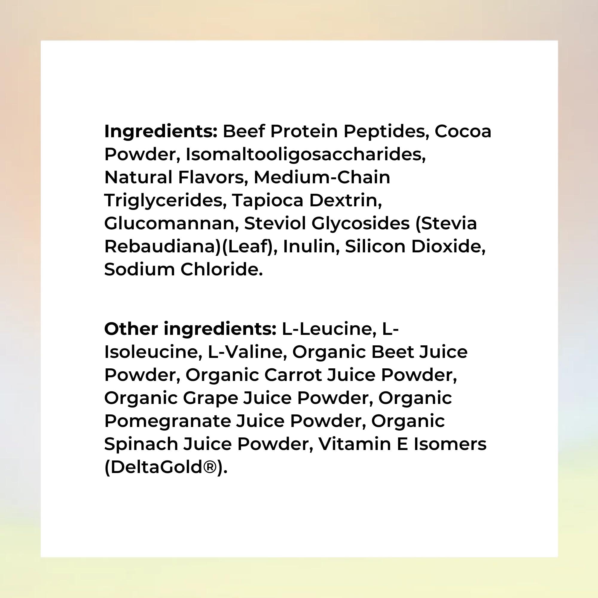 Reignite Wellness Reignite Wellness by JJ Virgin | Chocolate Paleo-Inspired All-in-One Shake | Gluten Free + Dairy Free Protein Powder | Contains 20G of Beef Protein with Vitamins, Minerals, Amino Acids | 30 Servings