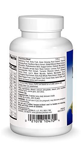 Planetary Herbals Planetary Herbals Myelin Sheath Support Tablets, 45 Count