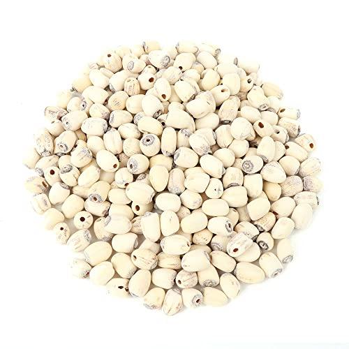 PALPLUS Organic Natural Pure Lotus Seed Dried Bulk Herbs (10.58 Ounce (300gram))