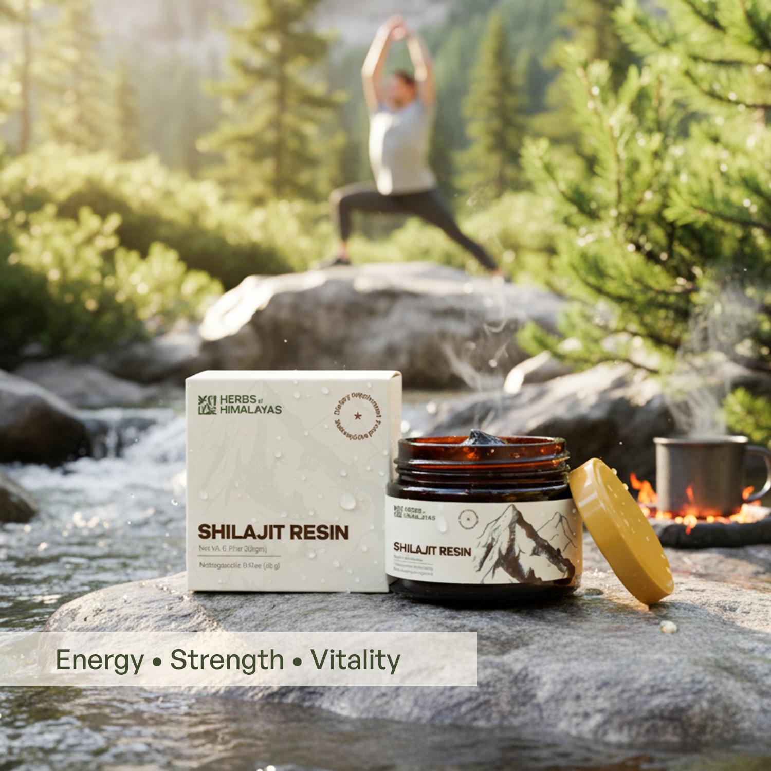 Herbs of Himalayas Herbs of Himalayas Shilajit Resin – Natural Strength (20 g)