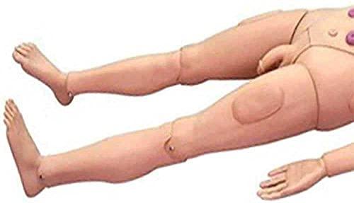 HIMFL HIMFL Multi-Functional Patient Care Simulator,170cm Life Size Nursing Training Manikin, for Training Teaching & Education Supplies