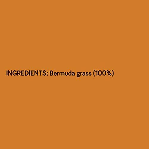 KILLI KILLI Bermuda | Arugampul | Cynodon dactylon | Doob Grass Powder, 100g